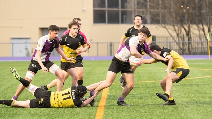 Porrot mingarria Kanpanzar Arrasaterentzat