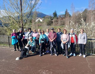 Gustura ibili dira Aramaioko Lagunkoiakoak paseoan