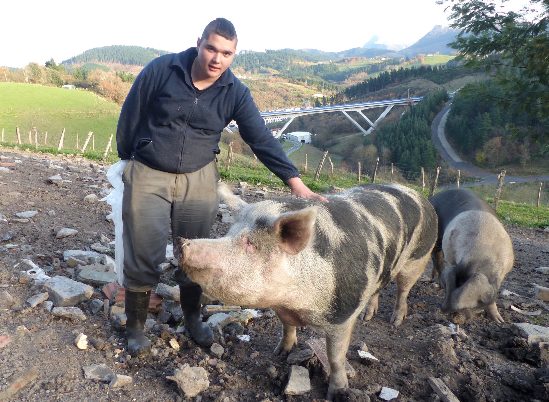 "Oso ona eta lasaia" den 'Txerrita', aurtengo santamasetako izarra