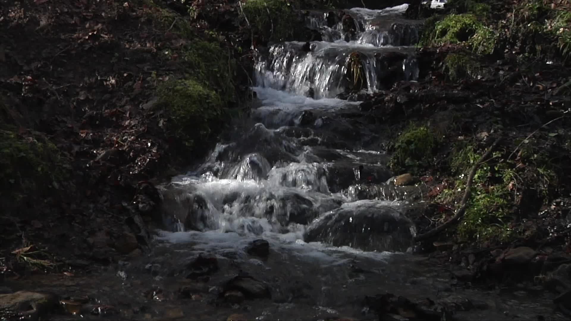 Gatzetik gatzera, 62 kilometro