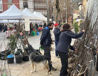 Urtarrilaren 17an egingo duten Zuhaitz Egunean 400 zuhaitz landatuko dituzte