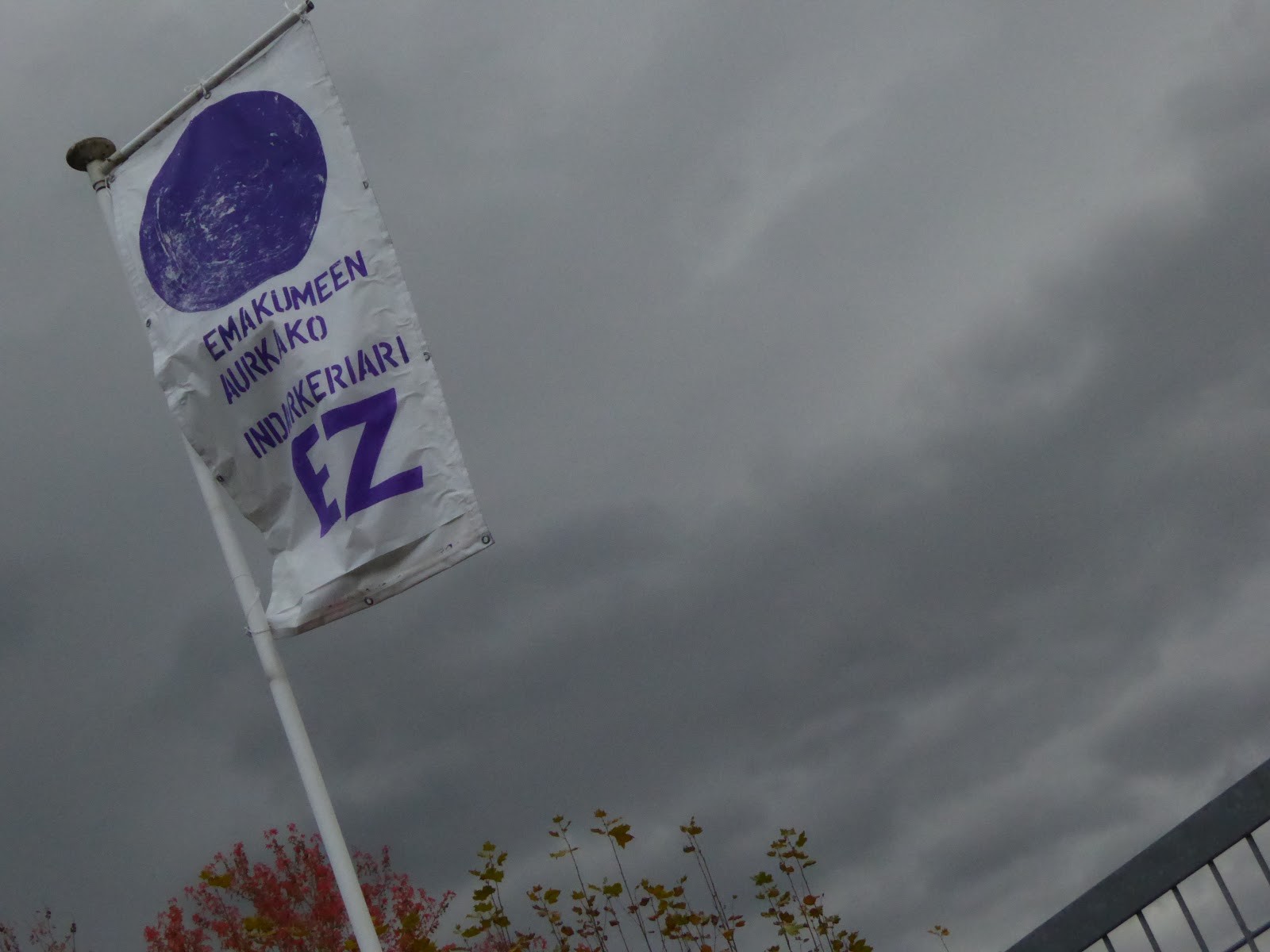 Adierazpen instituzional bateratuak, onartuta