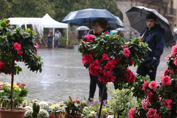 Balkoietan jartzeko landareak zein lursailetan landatzeko zuhaitzak eskaini dituzte Oñatiko zuhaitz azokan