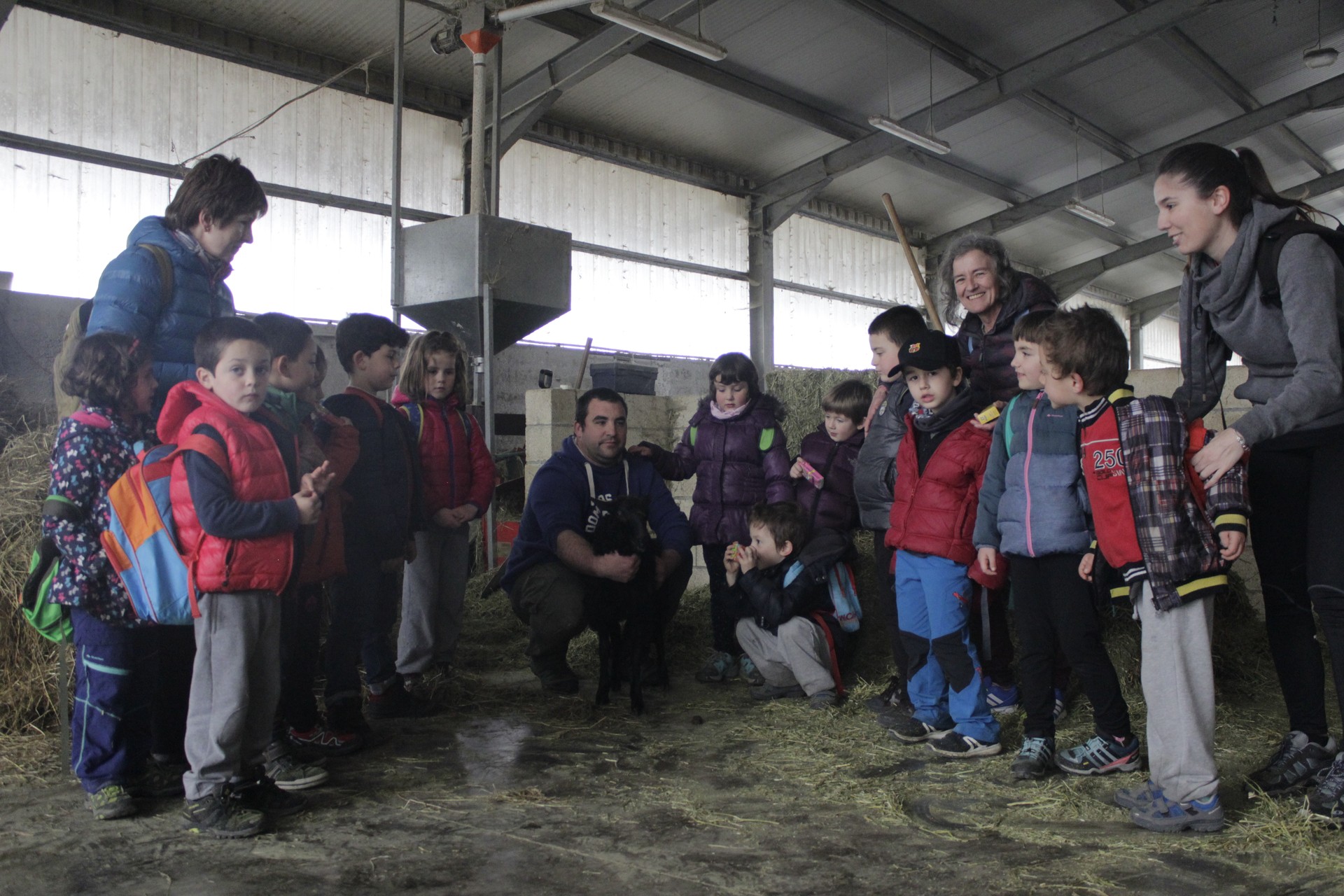 Herri jakintza helburu, Herri Curriculuma