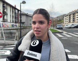 Zelako familia-etxeak direla ohikoenak uste duzu?