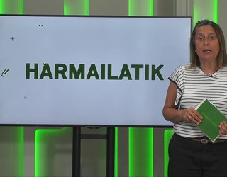 'Harmailatik': Mondrateren ospakizunak zaleekin; 300 dardolari Antzuolako txapelketan; Zabaletarrak protagonista Gorlako Igoeran