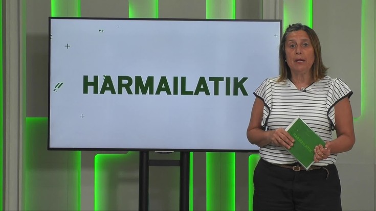 'Harmailatik': Mondrateren ospakizunak zaleekin; 300 dardolari Antzuolako txapelketan; Zabaletarrak protagonista Gorlako Igoeran