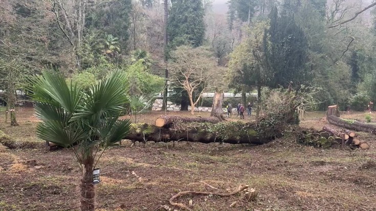 Albisteak:  Abian dira Arrasateko Etxezarreta parkeko lanak; maiatzean amaitzea espero dute