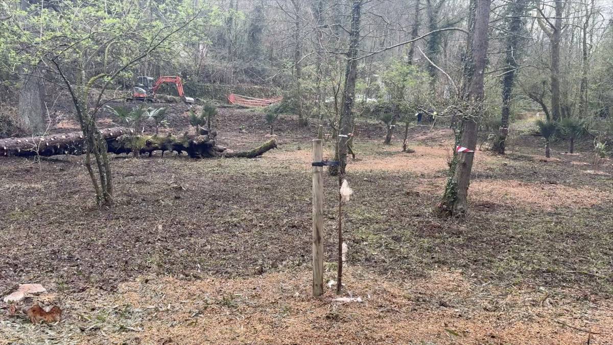 Etxezarretako lorategia berreskuratzeko obrak hasi ditu Arrasateko Udalak