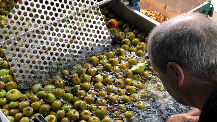 Aramaioko Sagardogileen Elkarteak zukua eta sagardoa egiteko txandak emango ditu