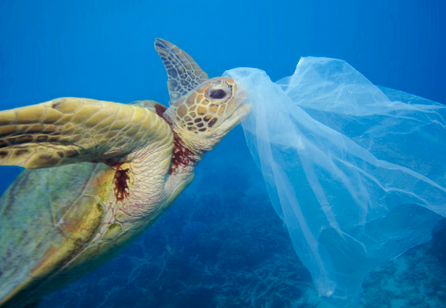 'Un oceáno de plástico' dokumentala