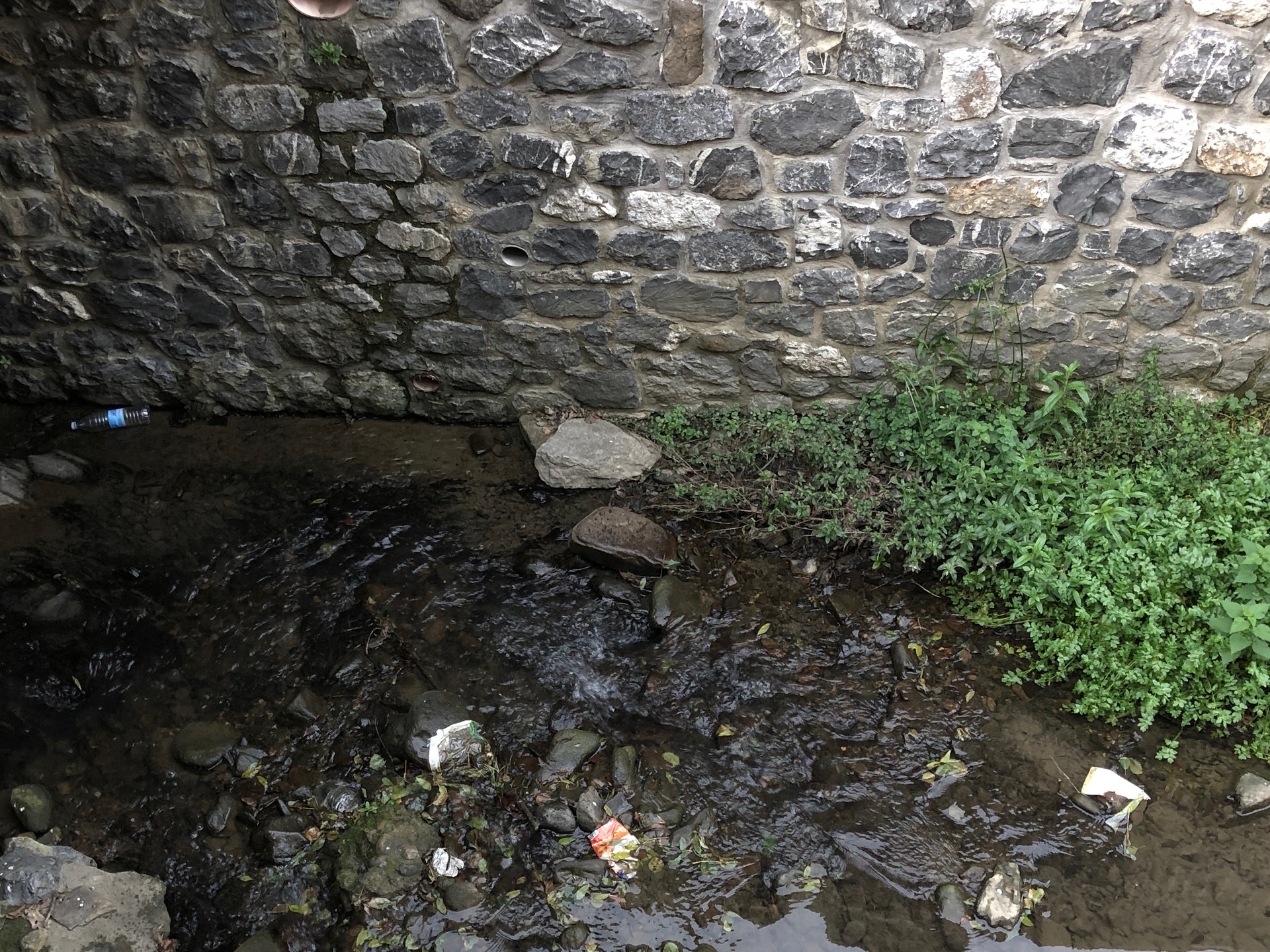 Plazako errekan, zaborra eta plastikoa