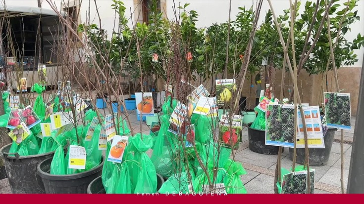 'Hemen Debagoiena': Arrasateko zuhaitz eguna eta Bergarako Oztoporik ez! kolektiboak antolatutako kontzertua