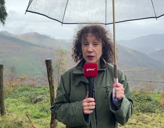 Basalgo parke eolikoaren aurreproiektuak Bergaran aurreikusten ditu hiru haize-errota