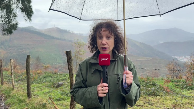 Basalgo parke eolikoaren aurreproiektuak Bergaran aurreikusten ditu hiru haize-errota