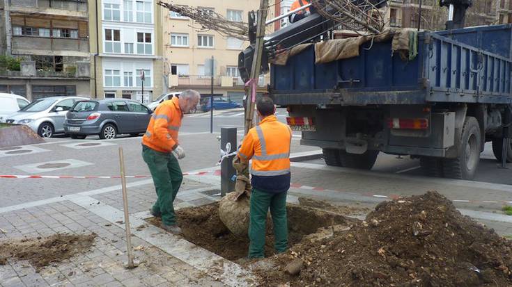 Herriko zuhaiztietan askotariko lanak, datozen egunotan