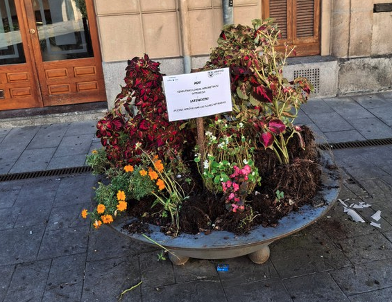 Kaleko loreontzietatik loreak har daitezkeela dioten kartelak jarri dituzte lorezainek