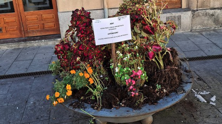 Kaleko loreontzietatik loreak har daitezkeela dioten kartelak jarri dituzte lorezainek