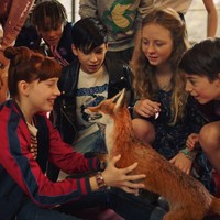 'El colegio de los animales muertos' filma
