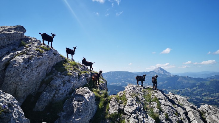 Argazki lehiaketa antolatu du Besaide Mendizale Elkarteak