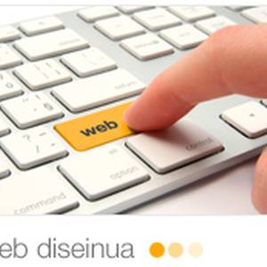 Web diseinua