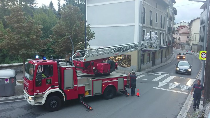 Liztor beltzaren habia bat kendu dute suhiltzaileek Bergaran