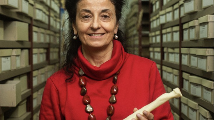 Albistegia: 2026-02-03