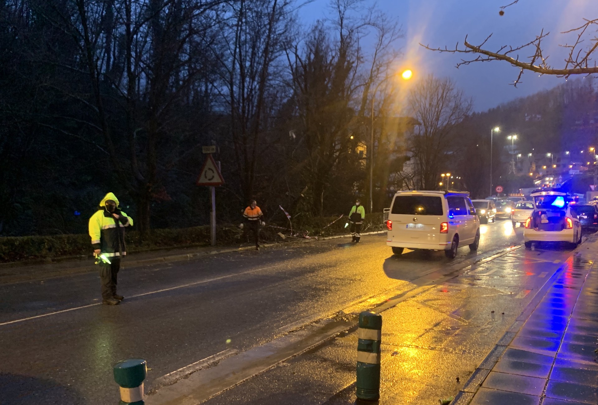 Euriteen eraginez, zuhaitz bat erori da Kalegoienan