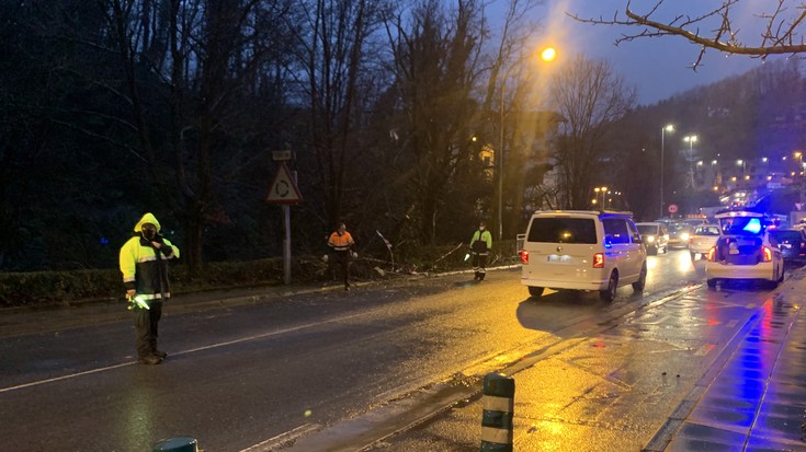 Euriteen eraginez, zuhaitz bat erori da Kalegoienan