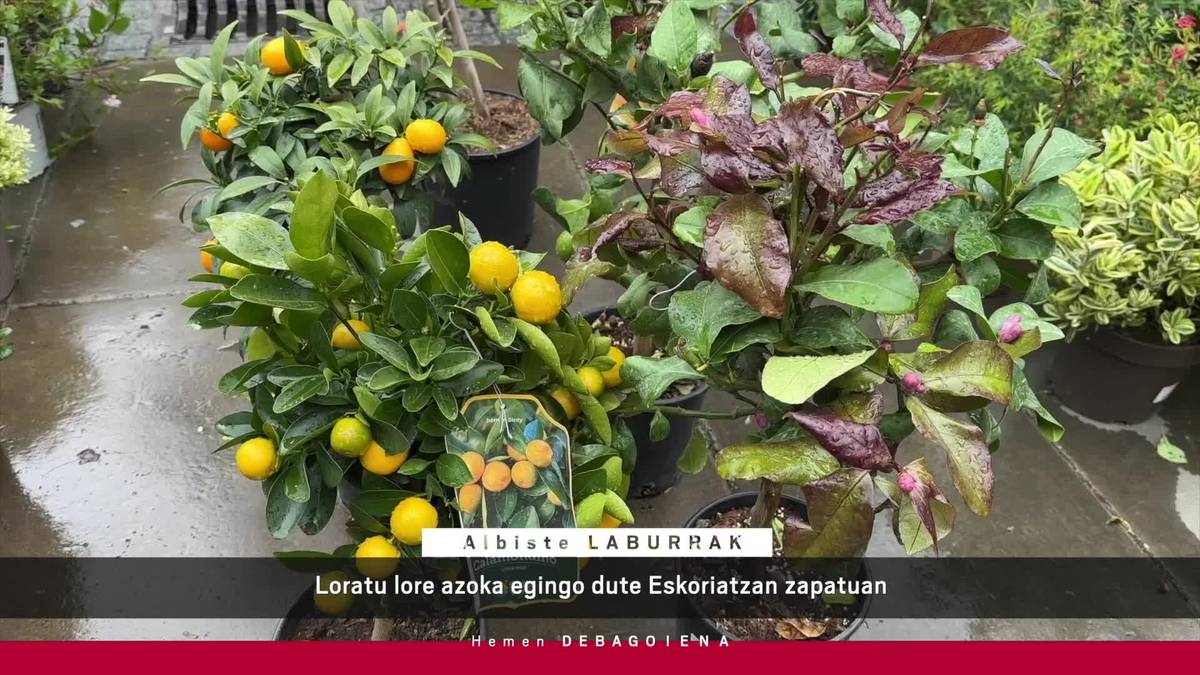 'Hemen Debagoiena' saioa osorik: 2025-04-30
