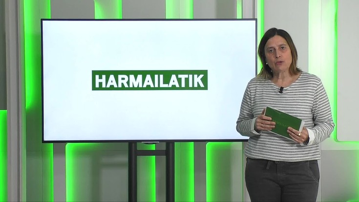 Harmailatik (2025-01-13)