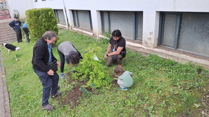 Auzolanean landaketak egin dituzte Ibarran
