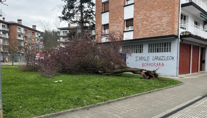 80 kilometro orduko haize boladak erregistratu dira Debagoienean
