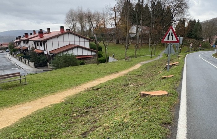 Aldunditik ziurtatu dute herri sarrerako astigarrak gaixorik zeudela eta arrisku iturri izan zitezkeela