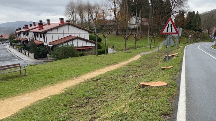 Aldunditik ziurtatu dute herri sarrerako astigarrak gaixorik zeudela eta arrisku iturri izan zitezkeela