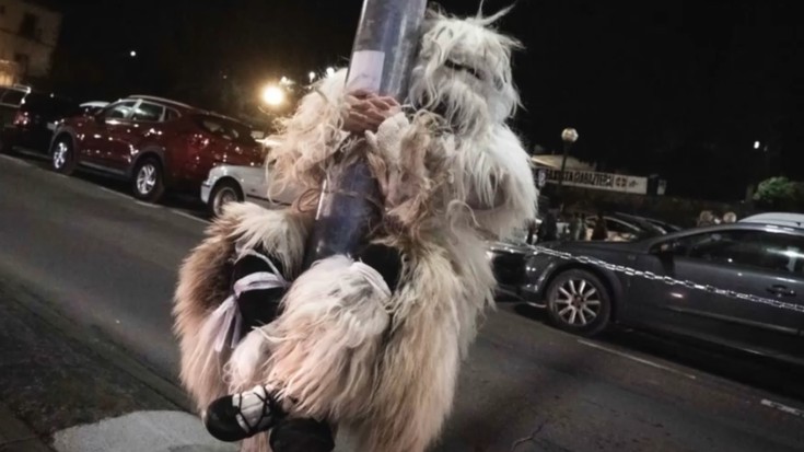 Albistegia: 2026-02-13