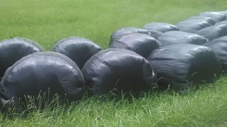 Baserri inguruan sortutako plastikoaren bilketa