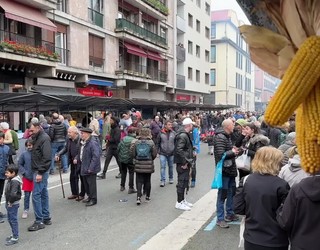 Abelgorrien faltan, berritasunekin dator Erramu-zapatua