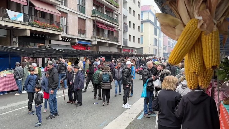 Abelgorrien faltan, berritasunekin dator Erramu-zapatua