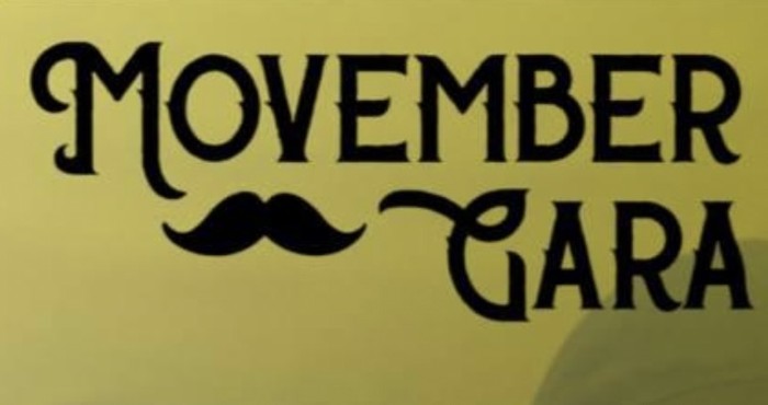 MovemberGara: azken ekitaldiak