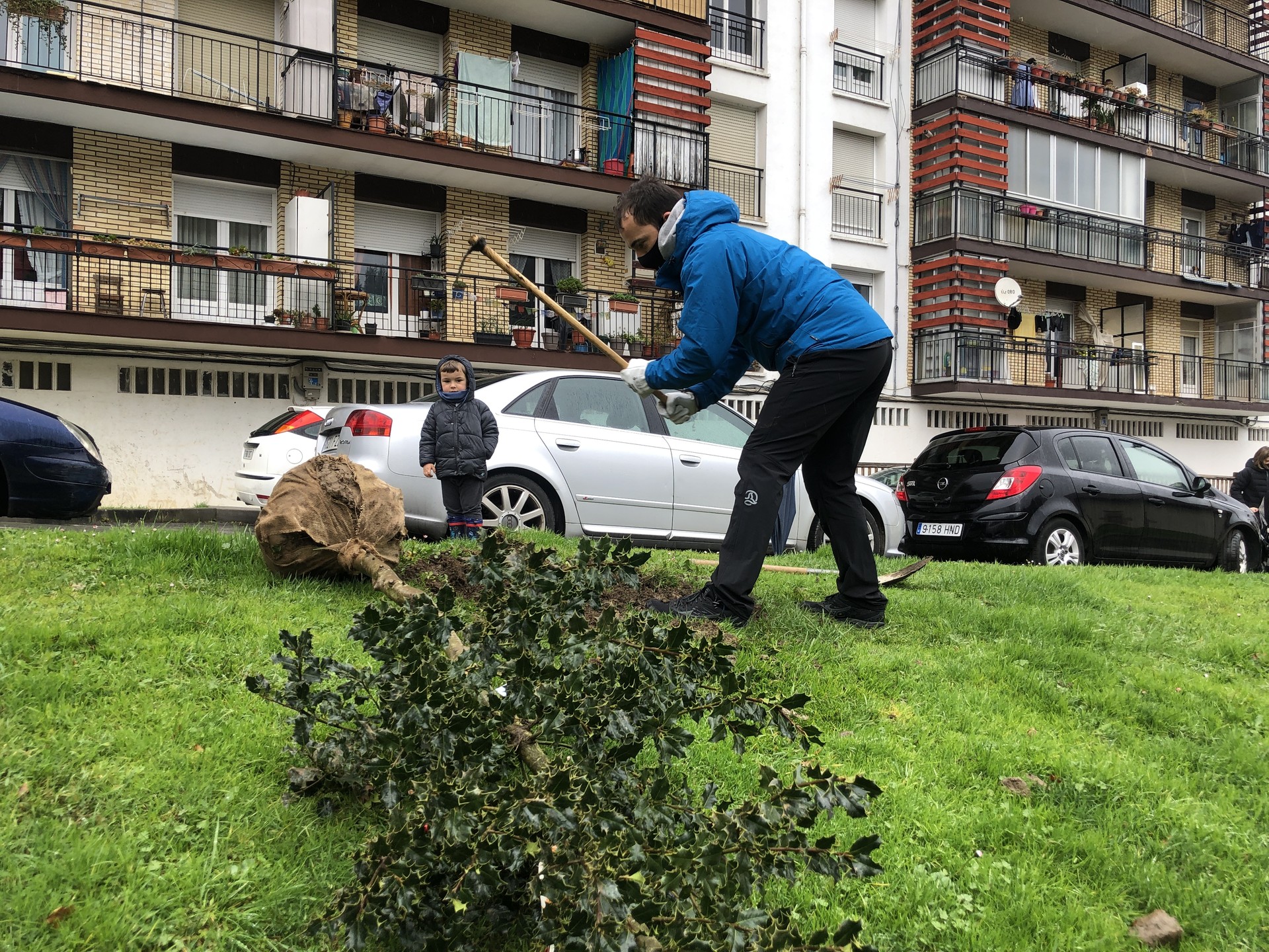Zuhaitz Egunean, arteak landatuko dituzte