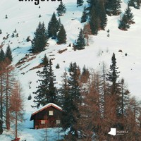 Literatura solasaldia: 'Ahanzturaren aingerua'