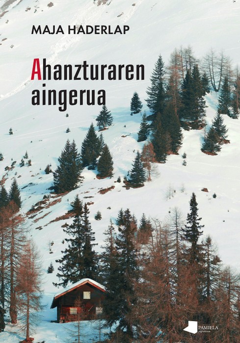 Literatura solasaldia: 'Ahanzturaren aingerua'
