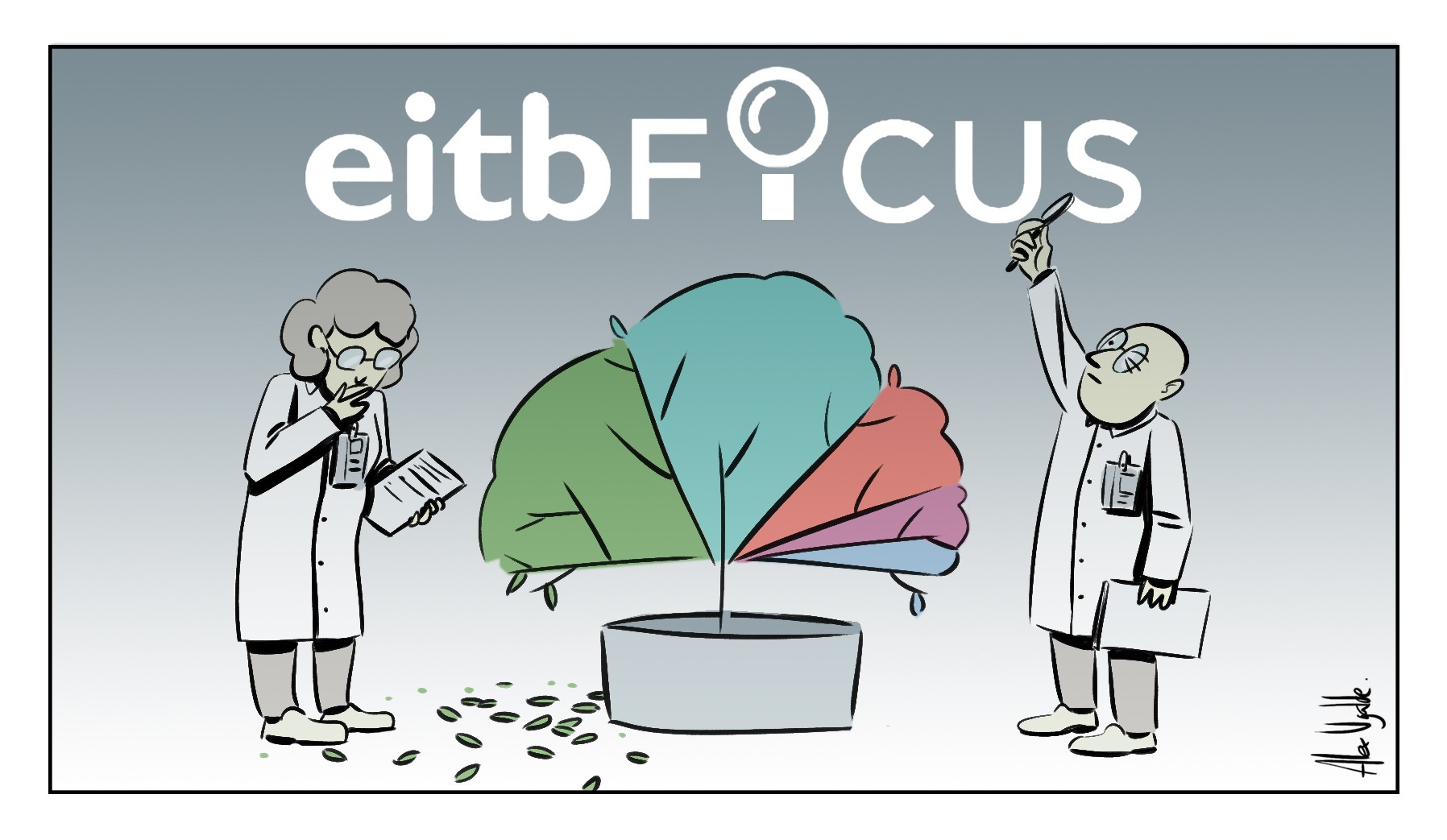 EITB Fikus