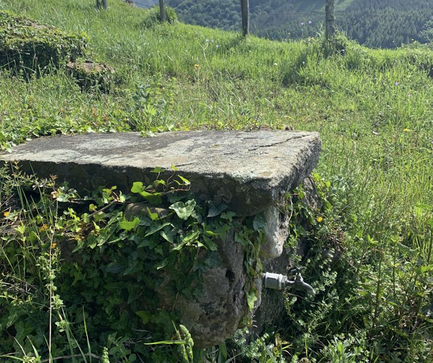 Araozko ipuin bat: Iturriko sorginak