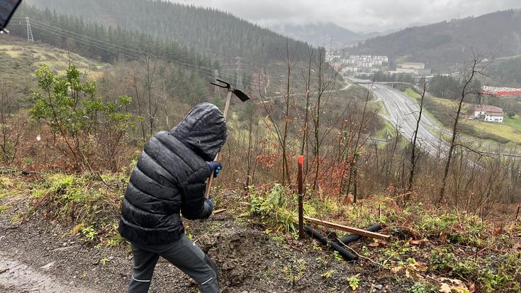 Albistegia: 2026-01-16