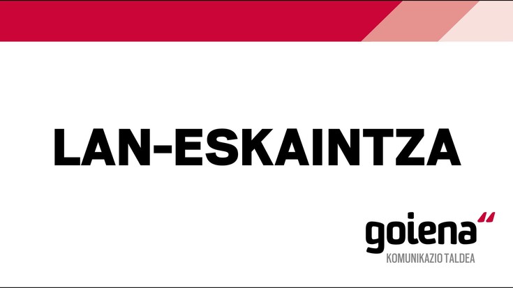 Maketagilea behar du Goiena Komunikazio Taldeak