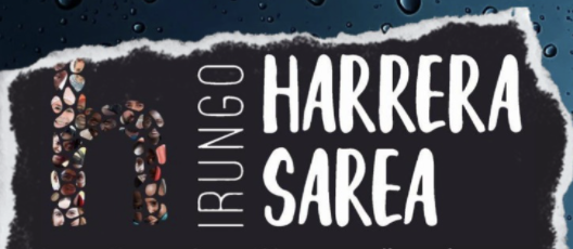 Irungo harrera sarearen egunerokotasuna