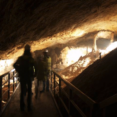 Ilunpeko altxorrak, familian