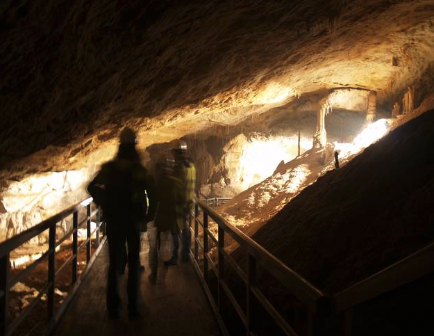 Ilunpeko altxorrak, familian